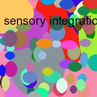 sensory integration products